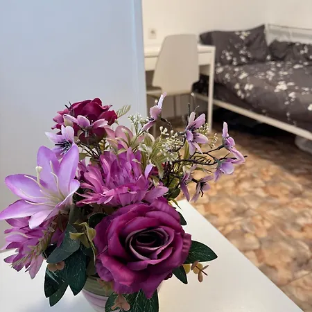 Appartement Escapate Con Estilo En